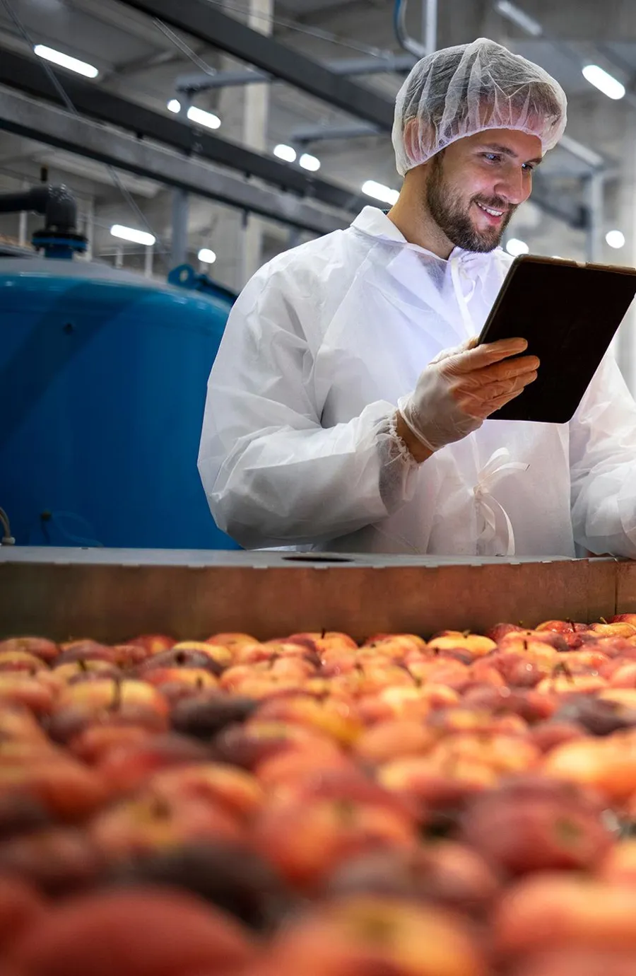 Food safety worker checking apples on a packing line with a tablet