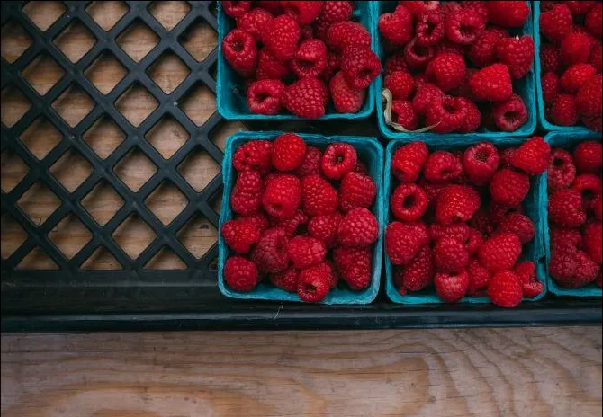 Fresh raspberries in punnets inside crates, a high-waste short-shelf-life crop